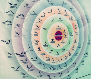 trapeze trick chart. i am officially in the first peach colored circle!